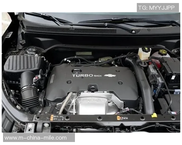 迪那摩与夏普尔激战正酣谁能在这场对决中笑到最后